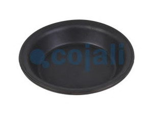 COJALI 6001124 membrana, spyruoklinis cilindras