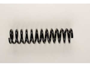 BILSTEIN 36-129720 spyruoklė 
 Pakaba -> Spyruoklės
123 321 39 04