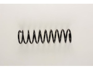 BILSTEIN 36-129904 spyruoklė 
 Pakaba -> Spyruoklės
91 AB 5560 CC
