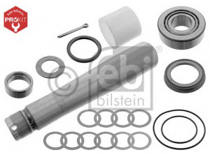 FEBI BILSTEIN 09375 remonto komplektas, pasukamojo kakliuko kaištis 
 Ašies montavimas/vairavimo mechanizmas/ratai -> Pasukamojo kakliuko remonto rinkinys -> Remonto komplektas, karbiuratorius
270912, 270912 S, 271142, 271142 S