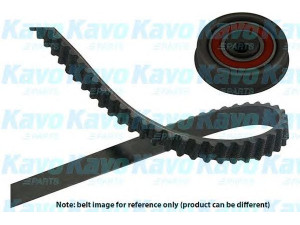 KAVO PARTS DKT-5503 paskirstymo diržo komplektas 
 Techninės priežiūros dalys -> Papildomas remontas