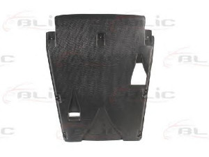 BLIC 6601-02-3541861P variklio dangtis 
 Variklis -> Variklio dangtis
638 524 1725, 6385241725