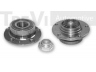 TREVI AUTOMOTIVE WB2134 rato guolio komplektas 
 Ašies montavimas/vairavimo mechanizmas/ratai -> Rato stebulė/montavimas -> Rato guolis