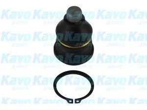 KAVO PARTS SBJ-6505 atramos/vairo trauklė 
 Ašies montavimas/vairavimo mechanizmas/ratai -> Sujungimai -> Atramos/vairo trauklė
40160AX000, 40160AX00A, 40160AX00B