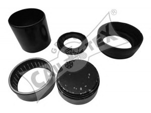 CAUTEX 031437 remonto komplektas, ašies korpusas 
 Ašies montavimas/vairavimo mechanizmas/ratai -> Ašies atrama/ašies korpusas/ašies montavimas -> Ašies korpusas
513164, 513255, 513322, 515411