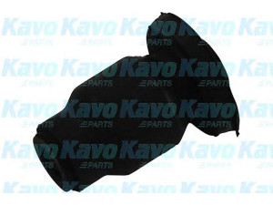 KAVO PARTS SCR-4535 valdymo svirties/išilginių svirčių įvorė 
 Ašies montavimas/vairavimo mechanizmas/ratai -> Valdymo svirtis/pasukamosios svirties sujungimas -> Montavimas/sutvirtinimas
C10034470A