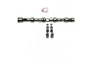 CAMPRO CP62245 skirstomojo veleno komplektas 
 Variklis -> Variklio uždegimo laiko reguliavimo kontrolė -> Skirstomasis velenas
0636 205, 636 205