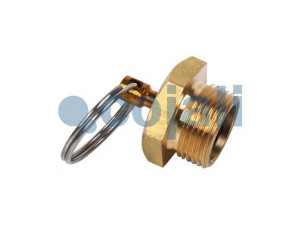 COJALI 2208400 vandens nutekėjimo vožtuvas 
 Suspausto oro sistema -> Oro talpykla/dalys -> Vandens nutekėjimo vožtuvas
087 257 40, 244 818 40, 277 818 40