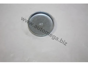 AUTOMEGA 301030113036 užšalęs kaištis
036103113, 036103113, 036103113