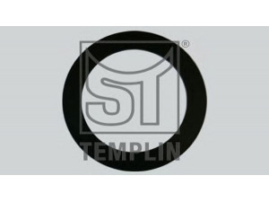 ST-TEMPLIN 07.020.7160.020 tarpiklis