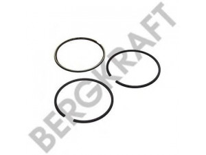 BERGKRAFT BK8502037 remonto komplektas, kompresorius
0001319411, 0001319411S, 0001319511