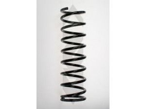 SPIDAN 55011 spyruoklė 
 Pakaba -> Spyruoklės
48231-10250