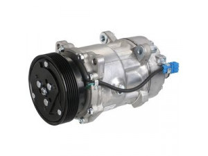 DELPHI TSP0159058 kompresorius, oro kondicionierius 
 Oro kondicionavimas -> Kompresorius/dalys
1067111, 7340657, 95NW19D629CC