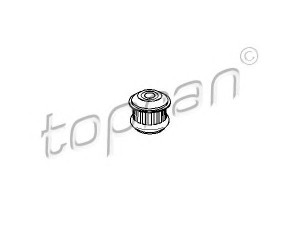 TOPRAN 107 612 variklio montavimas 
 Variklis -> Variklio montavimas -> Variklio montavimo rėmas
8A0 199 419A