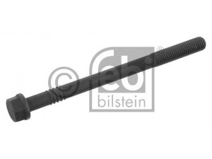 FEBI BILSTEIN 06229 cilindro galvutės varžtas 
 Variklis -> Cilindrų galvutė/dalys -> Cylindrų galvutės varžtas
423485, 470261