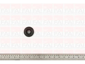FAI AutoParts SS5516 valdymo svirties/išilginių svirčių įvorė 
 Ašies montavimas/vairavimo mechanizmas/ratai -> Valdymo svirtis/pasukamosios svirties sujungimas -> Montavimas/sutvirtinimas
13595992