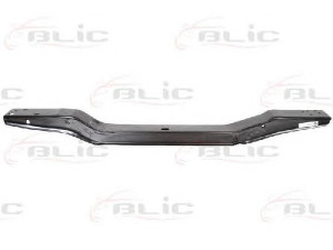 BLIC 6502-03-6031230P priekinis variklio gaubtas
7750425936, 7750793155