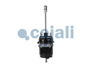 COJALI 2251413 spyruoklinis stabdžių cilindras
010 420 98 18, A0104209818