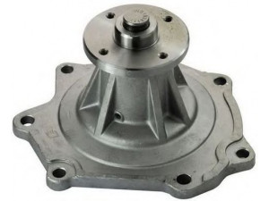 DENCKERMANN A310400 vandens siurblys 
 Aušinimo sistema -> Vandens siurblys/tarpiklis -> Vandens siurblys
2101044G00, 2101044G25, 2101044G26
