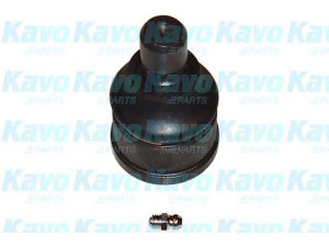 KAVO PARTS SBJ-4505 atramos/vairo trauklė 
 Ašies montavimas/vairavimo mechanizmas/ratai -> Sujungimai -> Atramos/vairo trauklė
0G03034550A, 0G03034550B, 0K03032550A