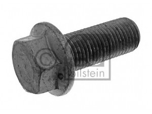 FEBI BILSTEIN 01137 varžtas
06.02791.5110, 06.02792.5110, 06.02813.4912