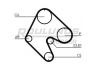 ROULUNDS RUBBER RR1010 paskirstymo diržas 
 Techninės priežiūros dalys -> Papildomas remontas
636360, 90128821, 90128821
