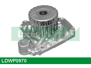 LUCAS ENGINE DRIVE LDWP0970 vandens siurblys 
 Aušinimo sistema -> Vandens siurblys/tarpiklis -> Vandens siurblys
19200PLC003, 19200PLE005, 19200PLMA01