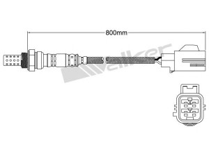 WALKER PRODUCTS 250-24744 lambda jutiklis 
 Variklis -> Variklio elektra
30774651, 307746510