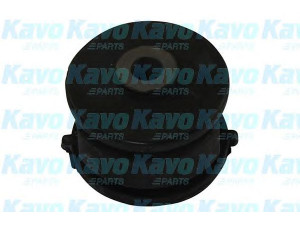 KAVO PARTS SCR-3080 valdymo svirties/išilginių svirčių įvorė 
 Ašies montavimas/vairavimo mechanizmas/ratai -> Valdymo svirtis/pasukamosios svirties sujungimas -> Montavimas/sutvirtinimas
551162E000, 551162E001