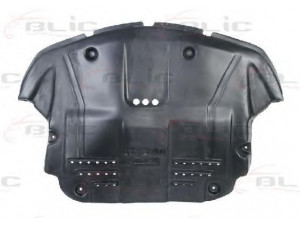 BLIC 6601-02-0115860P variklio dangtis 
 Variklis -> Variklio dangtis
60625852