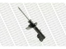 MONROE G16794 amortizatorius 
 Pakaba -> Amortizatorius
5430243U22, 5430243U26, 5430244U22