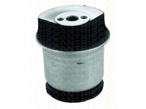 TRISCAN 8500 24850 stebulės laikiklio įvorė 
 Ašies montavimas/vairavimo mechanizmas/ratai -> Ašies atrama/ašies korpusas/ašies montavimas -> Pasukamojo veleno sujungimas
13110418, 13267215, 402952, 5402637