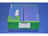 PARTS-MALL PXMPC-012A stūmoklis
96335639, 96335640, 96335641, 96335642