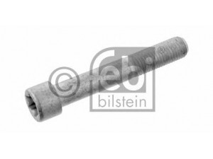 FEBI BILSTEIN 31177 varžtas, kardaninis velenas
007 990 02 04, 011 990 13 04