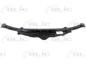 BLIC 6502-08-0111200P priekinis variklio gaubtas
60688556