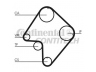 CONTITECH CT832 paskirstymo diržas 
 Techninės priežiūros dalys -> Papildomas remontas
1041869, 3252663, 3256730, RF0112205A
