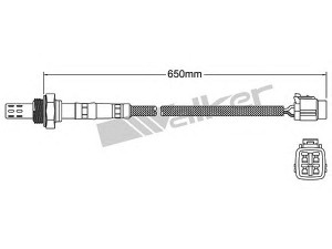 WALKER PRODUCTS 250-24888 lambda jutiklis 
 Išmetimo sistema -> Jutiklis/zondas
22690 AA620, 22690 AA660