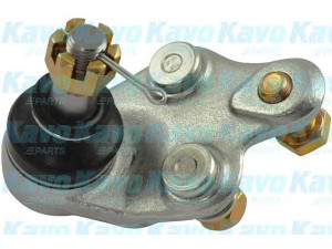 KAVO PARTS SBJ-9007 atramos/vairo trauklė 
 Ašies montavimas/vairavimo mechanizmas/ratai -> Sujungimai -> Atramos/vairo trauklė
4334019015, 4334019016