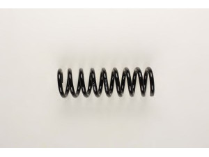 BILSTEIN 36-133659 spyruoklė 
 Pakaba -> Spyruoklės
202 324 17 04