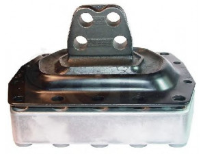 ROTA 2079298 variklio montavimas
1622148