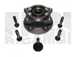 CALIBER RC1863 rato guolio komplektas 
 Ašies montavimas/vairavimo mechanizmas/ratai -> Rato stebulė/montavimas -> Rato guolis