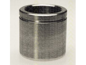 TRISCAN 8170 235718 stūmoklis, stabdžių apkaba