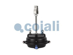 COJALI 2251113 diafragm. stabdžių cilindras
1505933, BBU5934, 5021170045, 05.444.17.01.0