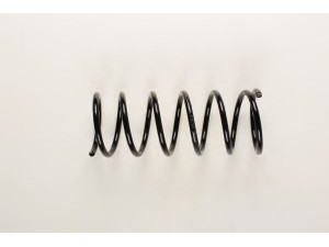 BILSTEIN 36-163595 spyruoklė 
 Pakaba -> Spyruoklės
54010-52Y02