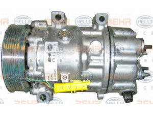 HELLA 8FK 351 316-371 kompresorius, oro kondicionierius 
 Oro kondicionavimas -> Kompresorius/dalys
6453.RV, 6453.RW, 6453.TL, 6453.TN