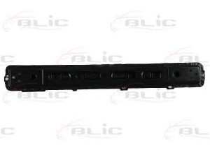 BLIC 6502-03-2029230P priekinis variklio gaubtas
51792685