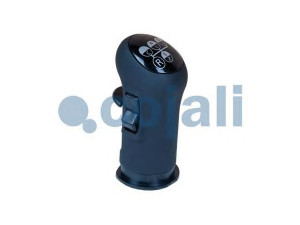 COJALI 2880137 pavarų svirties galvelė
20488052