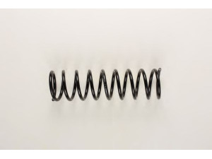 BILSTEIN 36-133420 spyruoklė 
 Pakaba -> Spyruoklės
95 AB 5560 FC