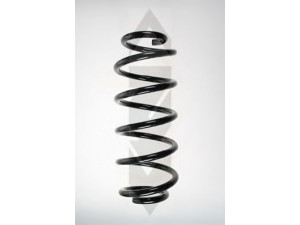 SPIDAN 56907 spyruoklė 
 Pakaba -> Spyruoklės
31 33 6 767 366