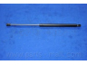 PARTS-MALL PQA-219 dujinė spyruoklė, bagažinė
817712E000